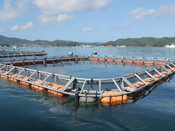 パワーフロート