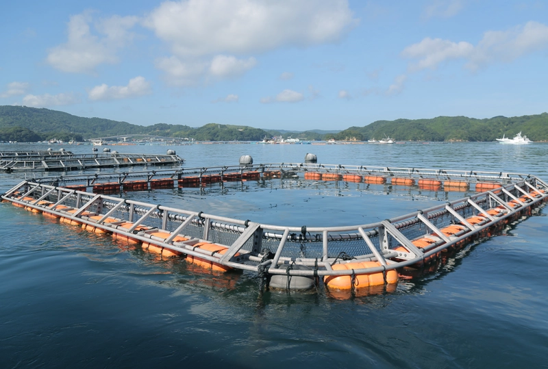 パワーフロート